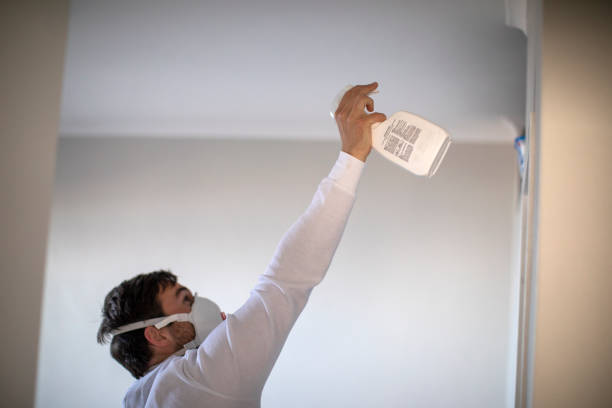 Best Attic Mold Removal  in Poplar Cotton Center, CA