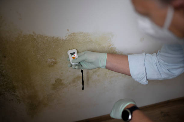 Best Mold Testing  in Poplar Cotton Center, CA