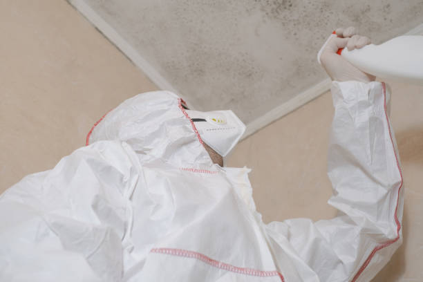 Best Black Mold Removal  in Poplar Cotton Center, CA